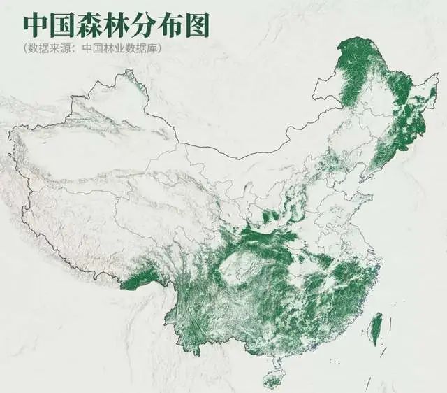 中国森林覆盖率最高的都是哪些省？最值得表扬的是贵州和陕西
