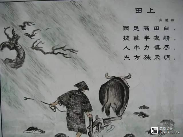 崔道融的一首小诗，全诗仅20个字，却准确地描绘出农人夜耕的情景