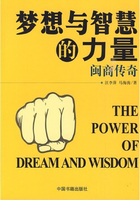 梦想与智慧的力量：闽商传奇