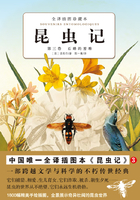 昆虫记：石蜂的苦难（第3卷）
