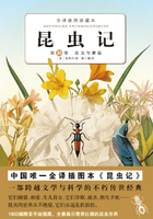 昆虫记：昆虫与蘑菇（第10卷）