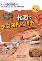 化石：生命演化的传奇