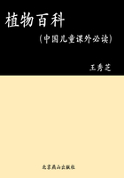 植物百科（中国儿童课外必读）