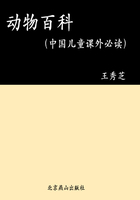 动物百科（中国儿童课外必读）