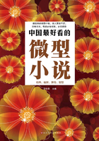 中国最好看的微型小说