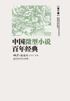 中国微型小说百年经典（第10卷）