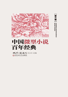 中国微型小说百年经典（第6卷）