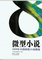 2008年中国微型小说精选